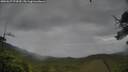 ./images/calvert/fitz-hugh-hecate/20250627/fitz-hugh-hecate20250627_074510M.jpg