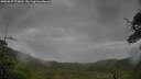 ./images/calvert/fitz-hugh-hecate/20250627/fitz-hugh-hecate20250627_075010M.jpg