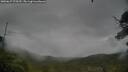 ./images/calvert/fitz-hugh-hecate/20250627/fitz-hugh-hecate20250627_075509M.jpg