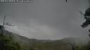 ./images/calvert/fitz-hugh-hecate/20250627/fitz-hugh-hecate20250627_080010M.jpg