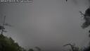 ./images/calvert/fitz-hugh-hecate/20250627/fitz-hugh-hecate20250627_081510M.jpg