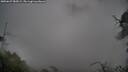 ./images/calvert/fitz-hugh-hecate/20250627/fitz-hugh-hecate20250627_082009M.jpg