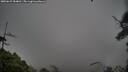 ./images/calvert/fitz-hugh-hecate/20250627/fitz-hugh-hecate20250627_084010M.jpg