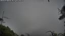 ./images/calvert/fitz-hugh-hecate/20250627/fitz-hugh-hecate20250627_084510M.jpg