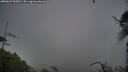 ./images/calvert/fitz-hugh-hecate/20250627/fitz-hugh-hecate20250627_085010M.jpg