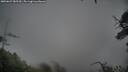 ./images/calvert/fitz-hugh-hecate/20250627/fitz-hugh-hecate20250627_085509M.jpg