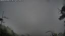 ./images/calvert/fitz-hugh-hecate/20250627/fitz-hugh-hecate20250627_090509M.jpg