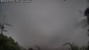 ./images/calvert/fitz-hugh-hecate/20250627/fitz-hugh-hecate20250627_093511M.jpg
