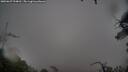 ./images/calvert/fitz-hugh-hecate/20250627/fitz-hugh-hecate20250627_094010M.jpg