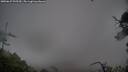 ./images/calvert/fitz-hugh-hecate/20250627/fitz-hugh-hecate20250627_095509M.jpg