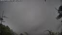 ./images/calvert/fitz-hugh-hecate/20250627/fitz-hugh-hecate20250627_100509M.jpg