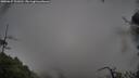 ./images/calvert/fitz-hugh-hecate/20250627/fitz-hugh-hecate20250627_101010M.jpg