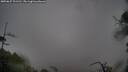 ./images/calvert/fitz-hugh-hecate/20250627/fitz-hugh-hecate20250627_101510M.jpg
