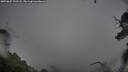 ./images/calvert/fitz-hugh-hecate/20250627/fitz-hugh-hecate20250627_102508M.jpg