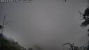 ./images/calvert/fitz-hugh-hecate/20250627/fitz-hugh-hecate20250627_103009M.jpg