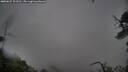./images/calvert/fitz-hugh-hecate/20250627/fitz-hugh-hecate20250627_103510M.jpg