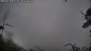 ./images/calvert/fitz-hugh-hecate/20250627/fitz-hugh-hecate20250627_104008M.jpg