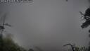 ./images/calvert/fitz-hugh-hecate/20250627/fitz-hugh-hecate20250627_104510M.jpg