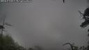 ./images/calvert/fitz-hugh-hecate/20250627/fitz-hugh-hecate20250627_105009M.jpg