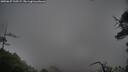 ./images/calvert/fitz-hugh-hecate/20250627/fitz-hugh-hecate20250627_105509M.jpg