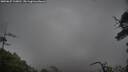 ./images/calvert/fitz-hugh-hecate/20250627/fitz-hugh-hecate20250627_110010M.jpg