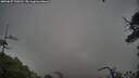 ./images/calvert/fitz-hugh-hecate/20250627/fitz-hugh-hecate20250627_110510M.jpg