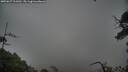 ./images/calvert/fitz-hugh-hecate/20250627/fitz-hugh-hecate20250627_111010M.jpg