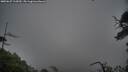 ./images/calvert/fitz-hugh-hecate/20250627/fitz-hugh-hecate20250627_112009M.jpg