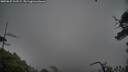 ./images/calvert/fitz-hugh-hecate/20250627/fitz-hugh-hecate20250627_112509M.jpg