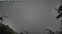 ./images/calvert/fitz-hugh-hecate/20250627/fitz-hugh-hecate20250627_113010M.jpg
