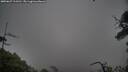 ./images/calvert/fitz-hugh-hecate/20250627/fitz-hugh-hecate20250627_113511M.jpg
