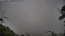 ./images/calvert/fitz-hugh-hecate/20250627/fitz-hugh-hecate20250627_114010M.jpg