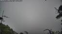 ./images/calvert/fitz-hugh-hecate/20250627/fitz-hugh-hecate20250627_114510M.jpg