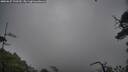 ./images/calvert/fitz-hugh-hecate/20250627/fitz-hugh-hecate20250627_120509M.jpg