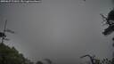 ./images/calvert/fitz-hugh-hecate/20250627/fitz-hugh-hecate20250627_121010M.jpg