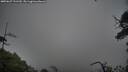 ./images/calvert/fitz-hugh-hecate/20250627/fitz-hugh-hecate20250627_121510M.jpg