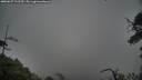 ./images/calvert/fitz-hugh-hecate/20250627/fitz-hugh-hecate20250627_122509M.jpg