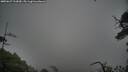 ./images/calvert/fitz-hugh-hecate/20250627/fitz-hugh-hecate20250627_123009M.jpg