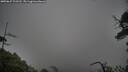 ./images/calvert/fitz-hugh-hecate/20250627/fitz-hugh-hecate20250627_123510M.jpg