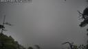 ./images/calvert/fitz-hugh-hecate/20250627/fitz-hugh-hecate20250627_124010M.jpg