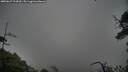 ./images/calvert/fitz-hugh-hecate/20250627/fitz-hugh-hecate20250627_124510M.jpg