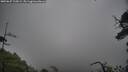 ./images/calvert/fitz-hugh-hecate/20250627/fitz-hugh-hecate20250627_125009M.jpg