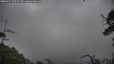 ./images/calvert/fitz-hugh-hecate/20250627/fitz-hugh-hecate20250627_125508M.jpg