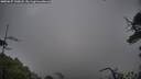 ./images/calvert/fitz-hugh-hecate/20250627/fitz-hugh-hecate20250627_130008M.jpg