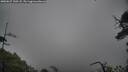 ./images/calvert/fitz-hugh-hecate/20250627/fitz-hugh-hecate20250627_130508M.jpg