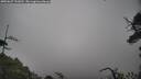 ./images/calvert/fitz-hugh-hecate/20250627/fitz-hugh-hecate20250627_131010M.jpg