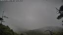 ./images/calvert/fitz-hugh-hecate/20250627/fitz-hugh-hecate20250627_133011M.jpg