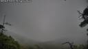 ./images/calvert/fitz-hugh-hecate/20250627/fitz-hugh-hecate20250627_133510M.jpg
