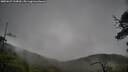 ./images/calvert/fitz-hugh-hecate/20250627/fitz-hugh-hecate20250627_134010M.jpg