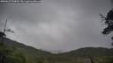./images/calvert/fitz-hugh-hecate/20250627/fitz-hugh-hecate20250627_134510M.jpg